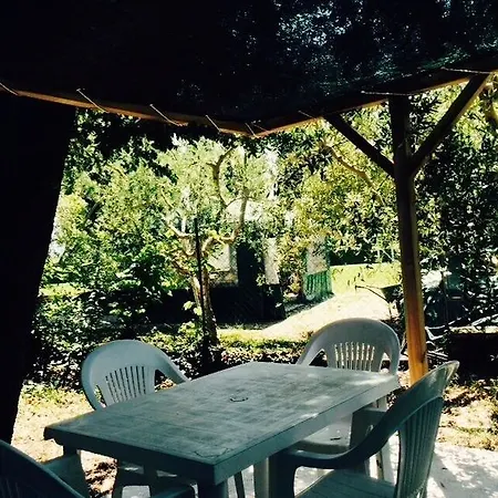 Hotel La Mora Asís