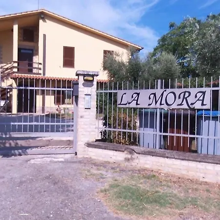 Hotel La Mora